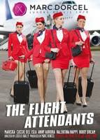 《法国空乘4》免费